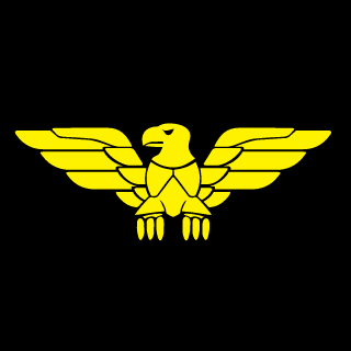 VeyronSky's emblem