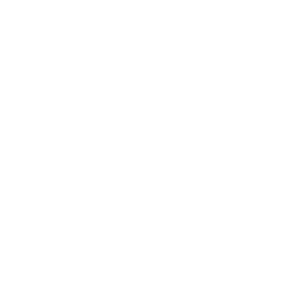 SCHUMAQUER's emblem