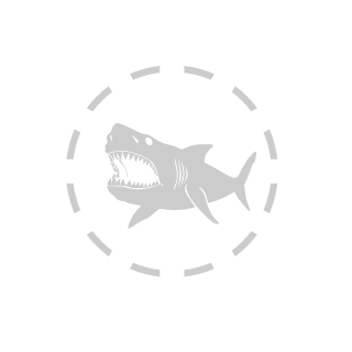 0LVARD's emblem