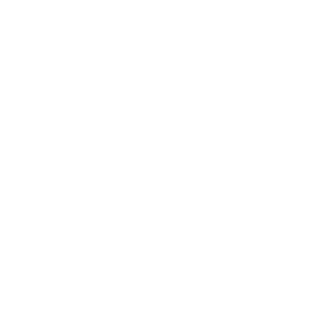 Papillon_512's emblem