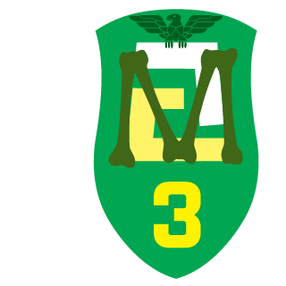 M-TEAM's emblem