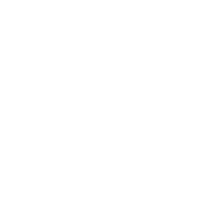 GRISHA1106's emblem