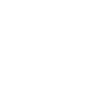 nogoHok666's emblem
