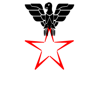 Wingzer08's emblem