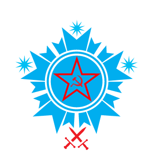 Vitality-Berdsk's emblem