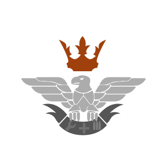 LopsidedNickel's emblem