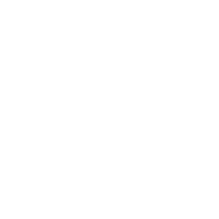 VastVoyages's emblem