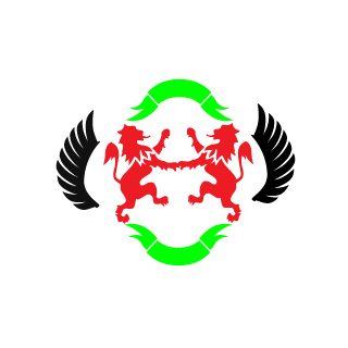 RodrygoRap03's emblem