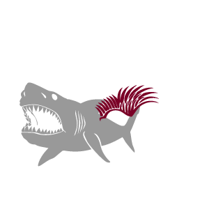 Rafar29's emblem
