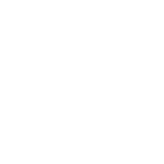BiancoBrothersBF's emblem