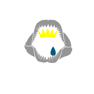 Arialzvezd's emblem