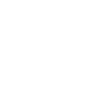 Dimasio133's emblem
