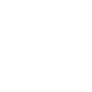 PANDA-STORM88's emblem