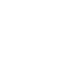 BoloDeNexcauu's emblem