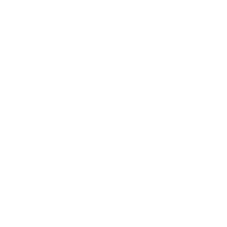 Faccel's emblem