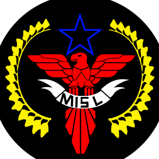 T-bone2399's emblem