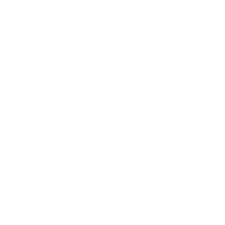 Maxsus96's emblem