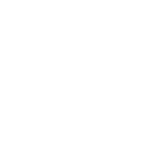 H3LL WITH IT's emblem