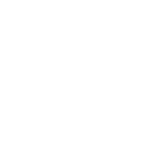 FerE42's emblem