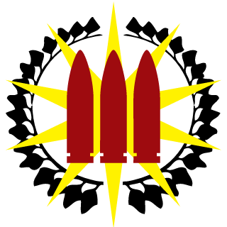 NotMyRealSN's emblem
