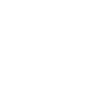 Party2Tekno's emblem
