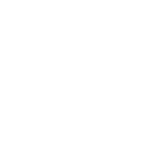 ZachSlap's emblem