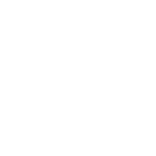 TheDancor911's emblem