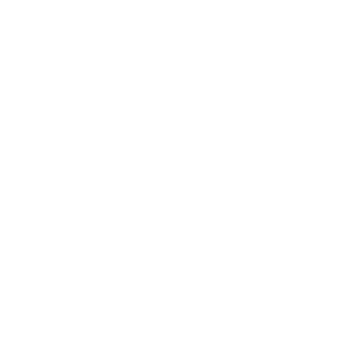 VISK75's emblem
