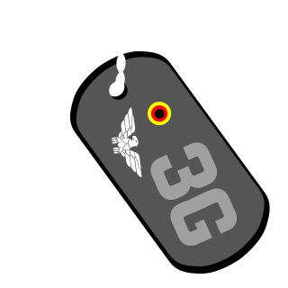 3GSturmWolf's emblem