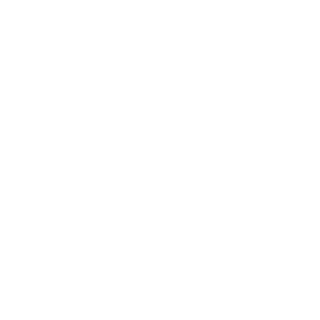 Psyko307's emblem