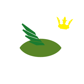 Turt1eR0ck's emblem