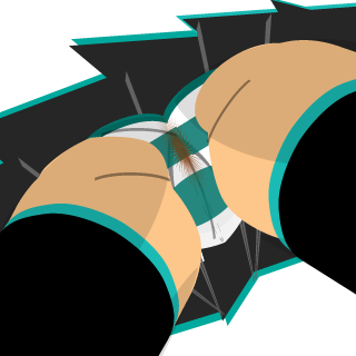 Montapa's emblem