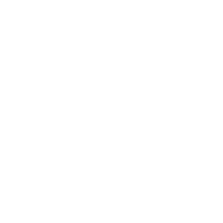 mrtyzc's emblem