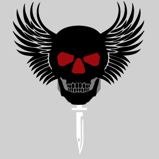 PANDAMAN640's emblem