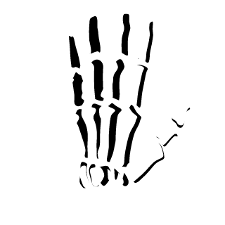 XTheGreatDaneX's emblem