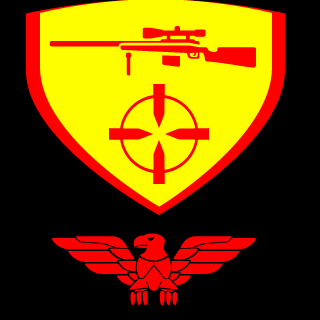 IroncldTemplar31's emblem