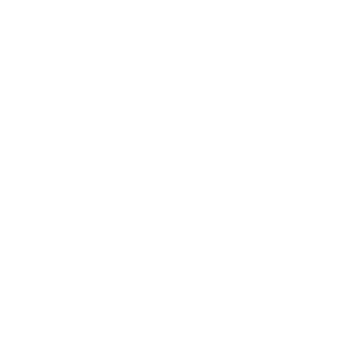 GeneralKuhl's emblem
