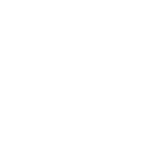 91-Nikola's emblem