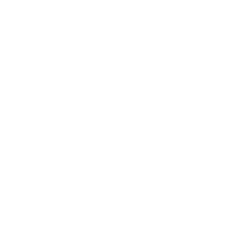 exolSWE's emblem