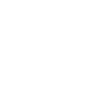 SilviIbe's emblem