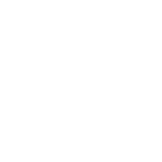 PauliNDa2's emblem