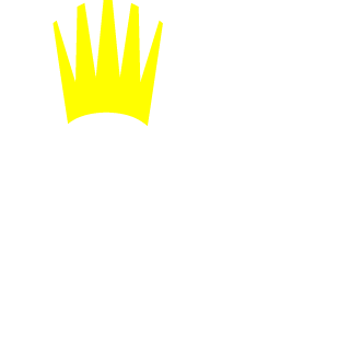Ashory1325's emblem