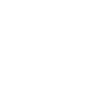 Swazzy355's emblem