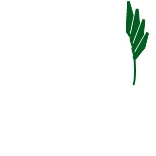 xeidumx's emblem