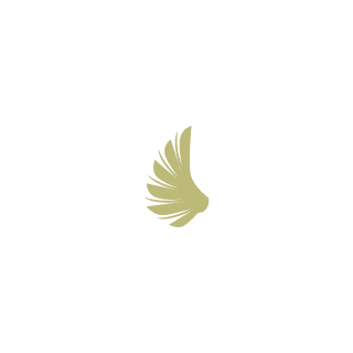 8noah8's emblem