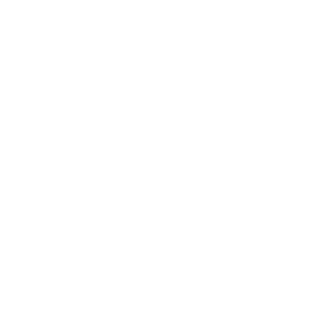 _sokol_102_'s emblem