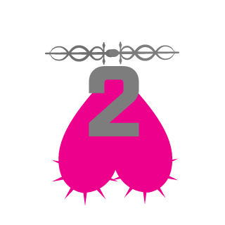 2STUDNUTS's emblem