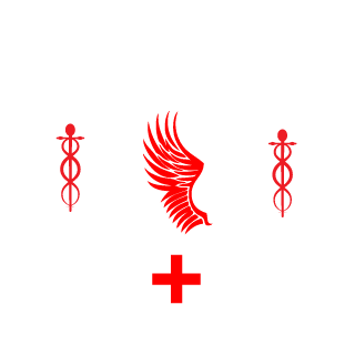 SonnyAmber's emblem