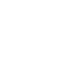 noobivory's emblem