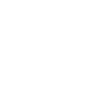 SS793's emblem